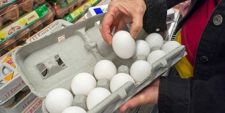 احتمال افزایش قیمت مصوب  تخم مرغ تا کیلویی ۲۵۰۰۰ تومان