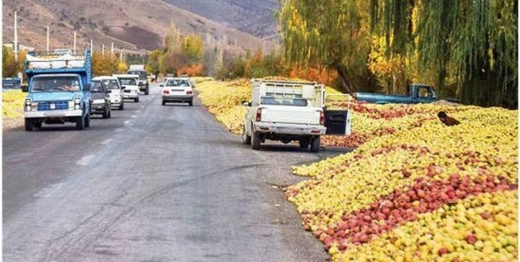 قیمت خرید تضمینی سیب صنعتی  ۱۴۶۰ تومان اعلام شد