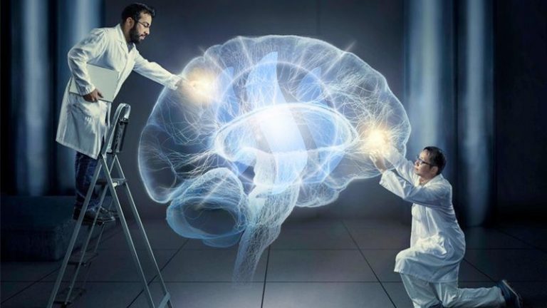 کشف پروتیینی که امکان تغییر خاطرات را نشان می‌دهد