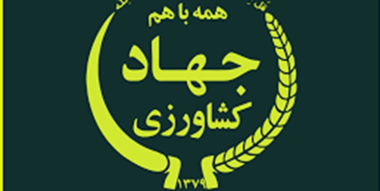 تصمیمات قرارگاه امنیت غذایی پاسخگوی مطالبات جدی مردم است