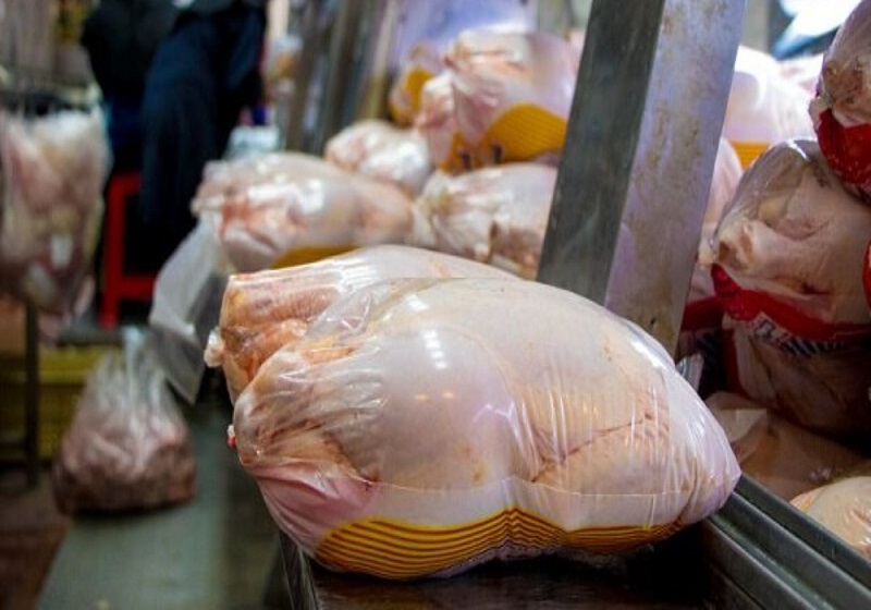 عرضه مرغ در بازار بیش از نیاز کشور/ قیمت مرغ گرم کاهش یافت؟