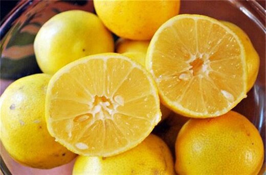 قیمت لیمو شیرین سر به فلک کشید