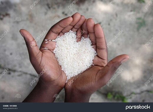 برنج ایرانی چرا کیلویی ۹۲هزارتومان؟