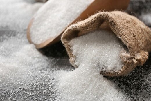 تولید ۴۰۰هزار تن شکر در شرکت توسعه نیشکر خوزستان