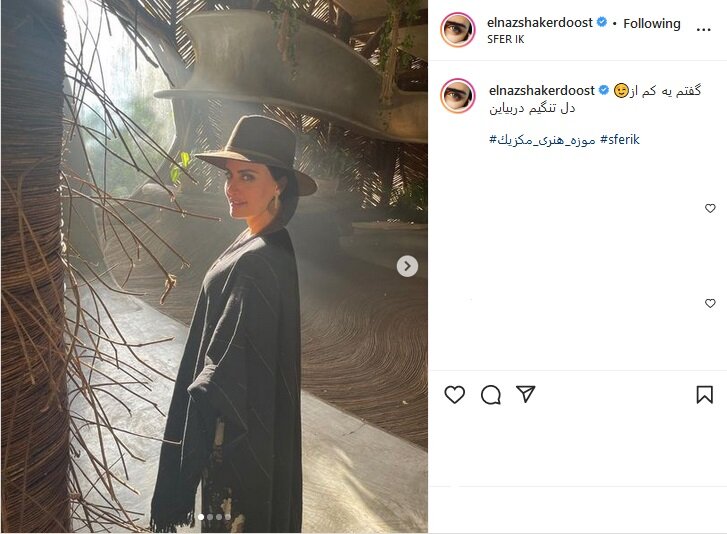 فیگورهای الناز شاکردوست در مکزیک/ عکس