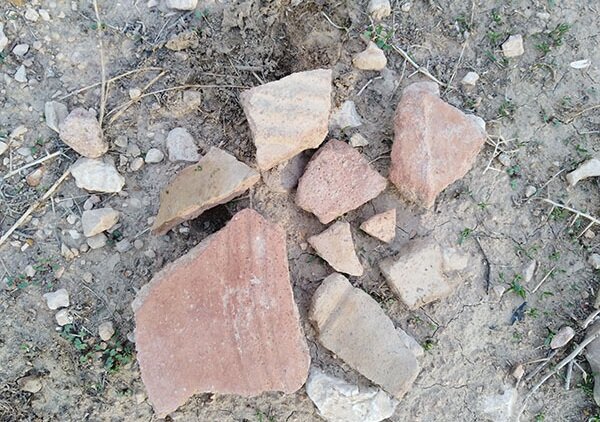 کاخ هخامنشی در محاصره شکارچیان زیرخاکی، فاضلاب و معتادان/عکس