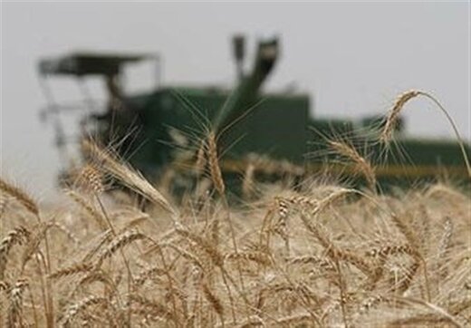 ۱۴ درصد محصولات کشاورزی کشور در خوزستان تولید می‌شود.