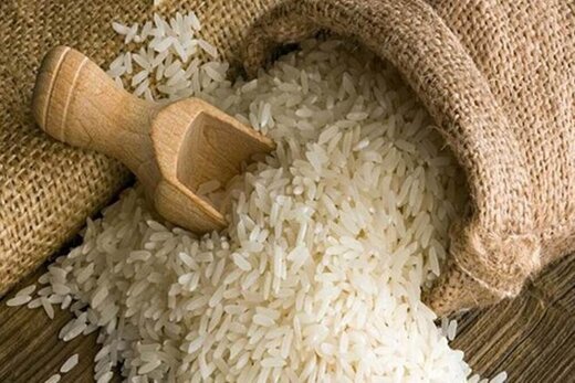 اجرای کشت قراردادی برنج در مازندران/ سویا و مرکبات در انتظار کشت قراردادی