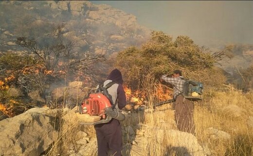 گردشگران عامل اصلی آتش‌سوزی منابع طبیعی کرمانشاه