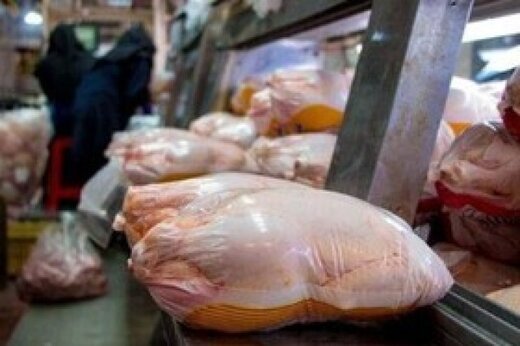 توزیع کافی مرغ موجب کاهش قیمت در بازار آذربایجان شرقی شده است