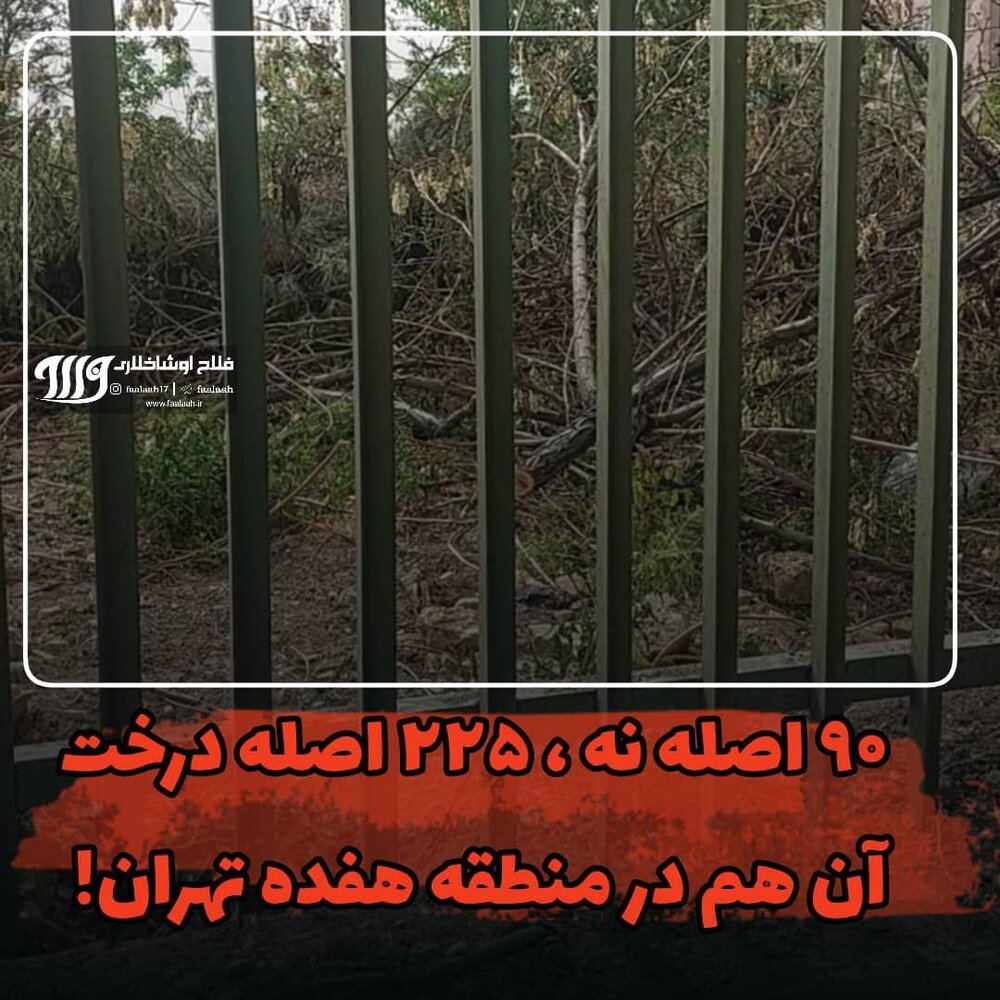حواشی ادامه دار قطع درخت در منطقه ۱۷ شهرداری تهران