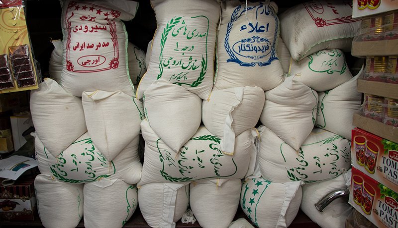 مافیا؛ مانع کاهش قیمت برنج / برنج ایرانی از سفره شهروندان حذف می‌شود؟