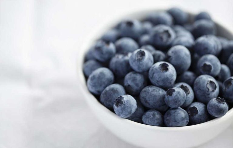 معجزه بلوبری برای  زخم دیابتی