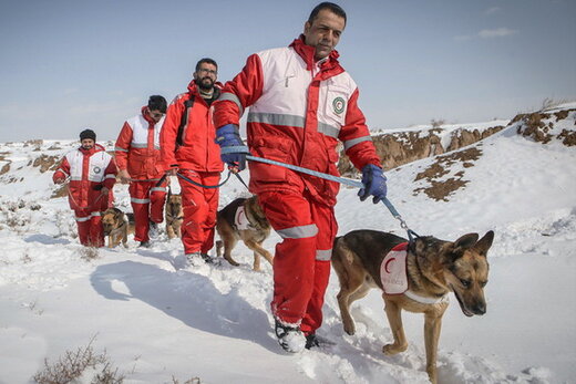 نجات ۱۱ کوهنورد و طبیعت‌گرد در ارتفاعات گیلان