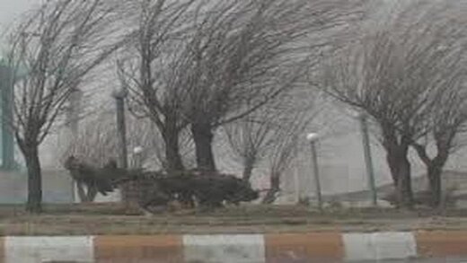 وزش باد شدید و رگبار در راه استان قزوین است