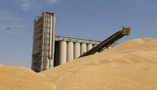 ۴۰۰ ریال بابت تحویل هرکیلوگرم گندم به مراکز استاندارد خوزستان پرداخت می‌شود