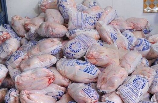 جریمه میلیاردی قاچاقچی مرغ در قزوین