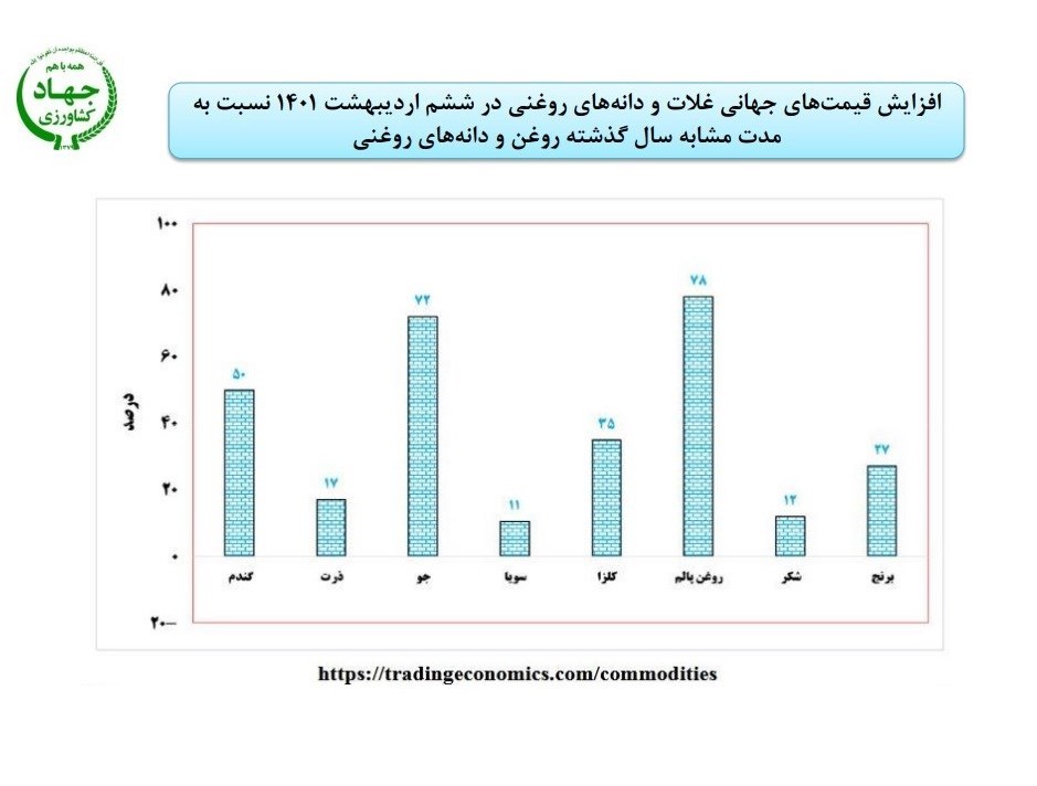 جزئیات گرانی کالاهای اساسی در بازار جهانی پس از جنگ اوکراین و روسیه 