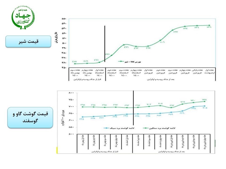 جزئیات گرانی کالاهای اساسی در بازار جهانی پس از جنگ اوکراین و روسیه 