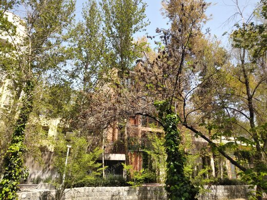 وضعیت «نامناسب» نگهداری از فضای سبز و درختان اصفهان + عکس