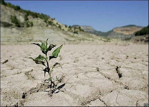 پیامدهای ترسناک خشکسالی برای محیط زیست