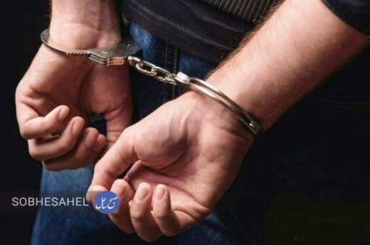 ۲۸ سارق و معتاد متجاهر در کیش دستگیر شدند