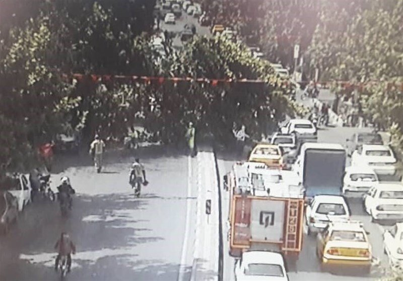 انسداد خیابان شریعتی به دلیل سقوط یک اصله درخت/ عکس