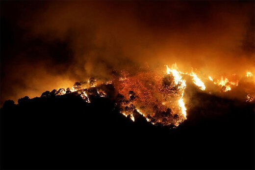 وسعت آتش سوزی در منطقه حفاظت شده کوه خامی باشت در حال گسترش است