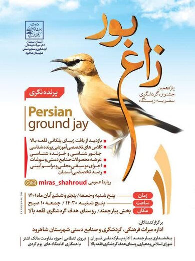 یازدهمین جشنواره گردشگری سفر به زیستگاه زاغ بور در بخش بیارجمند شاهرود برگزار میشود