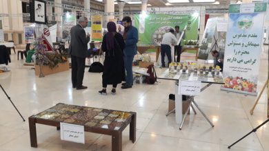 استقرار غرفه اداره کل منابع طبیعی و آبخیزداری استان سمنان در ششمین جشنواره و نمایشگاه ملی گیاهان دارویی