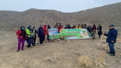 اجرای عملیات بذرپاشی و بذرکاری در سطح ۱۰۰ هکتار از مراتع  شهرستان با مشارکت همیاران طبیعت