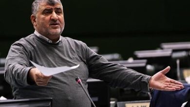 نماینده مجلس: باید چنددولتی و غیردولتی در بازار ارز و سکه، «اعدام» شوند / آقایان، دست به کار نشوند، با «استیضاح‌ها»، دولت را از «عدد» می‌اندازیم