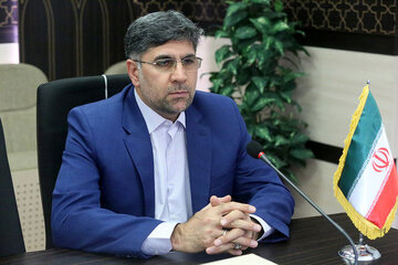 اسرائیل به دنبال جاسوسی بود؟ /واکنش عضو کمیسیون امنیت ملی به شناسایی ریزپرنده ها در آسمان اصفهان