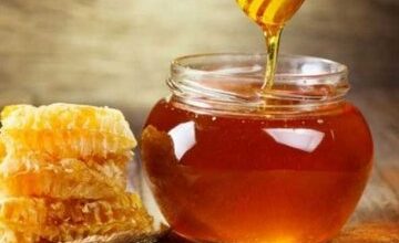 تولید عسل لرستان به ۴ هزار و ۵۰۰ تن در سال افزایش می یابد