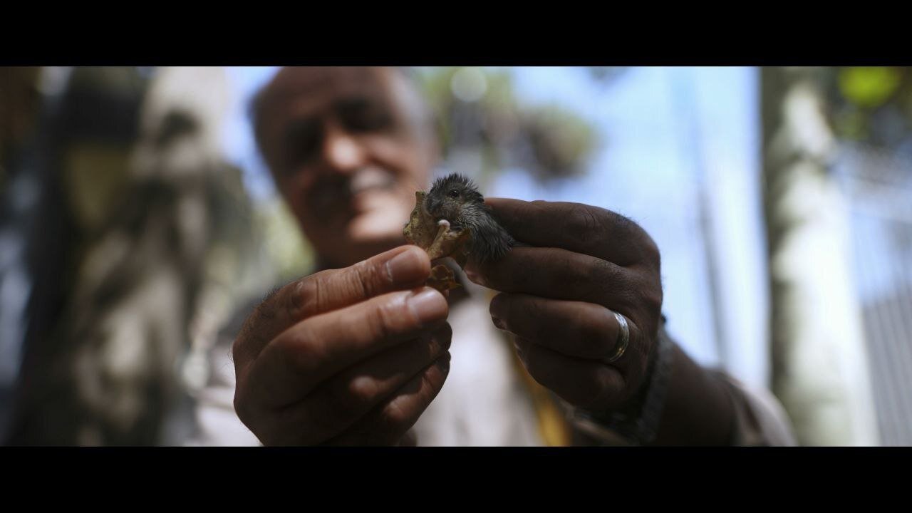 درباره «بی بدن» و «قویدل»/ پروندههای واقعی، اشکها و لبخندها