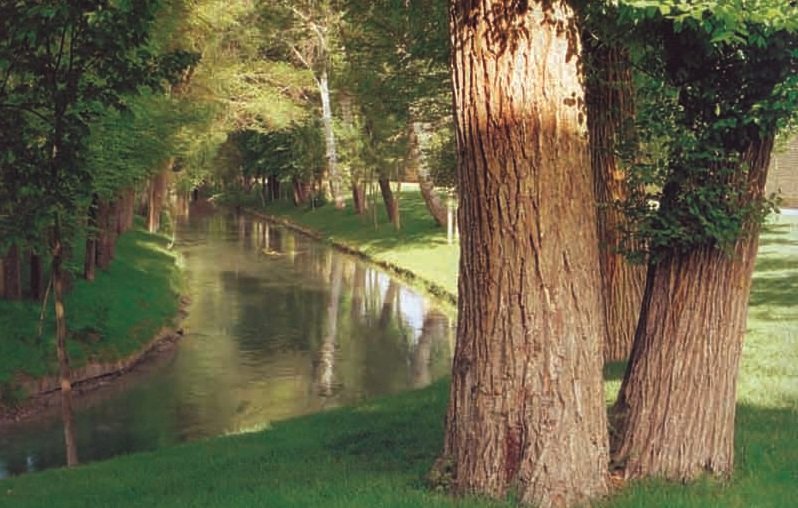 معرفی دیدنیترین جاذبههای گردشگری اصفهان/از راز عجیب «منارجنبان» تا ساختارهای تاریخی «مادی»