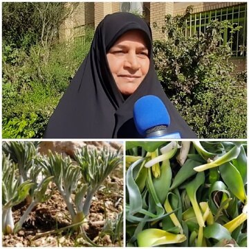 نقش گیاهان خوراکی طبیعی و دارویی در سلامت