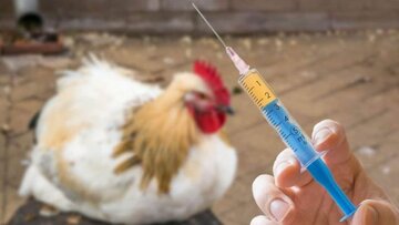 ۷۱۳هزار دوز واکسن رایگان در قزوین توزیع شد