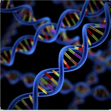 بهره مندی بیش از ۵ هزار نفر در البرز از مشاوره ژنتیک