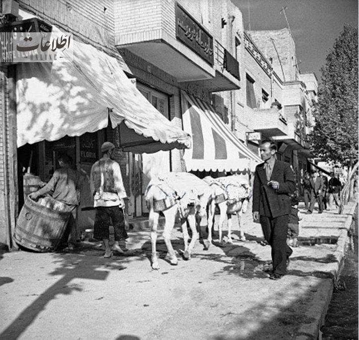 تهران قدیم| باربری با چارپا در چهارراه استانبول تهران/ عکس