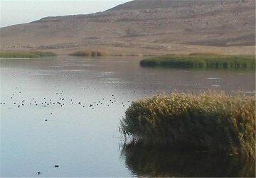 صید ماهی در رودخانه های لرستان ممنوع شد