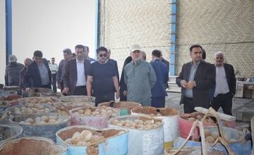 فرآوری معادن جنوب استان در تحقق رشد اقتصادی موثر است