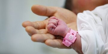 نجات جان ۲۶۵ فرزند سقط در چهارمحال و بختیاری