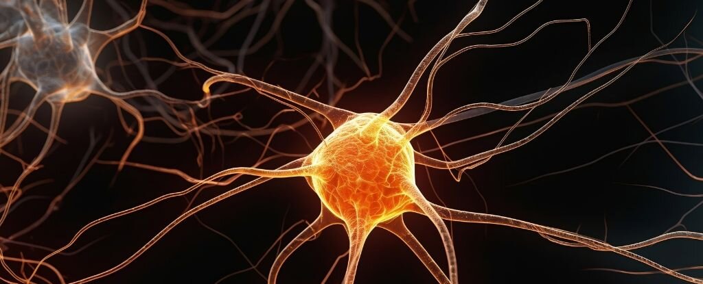 کمبود خواب، مصرف سیگار و مواد مخدر چه بر سر مغز میآورد؟