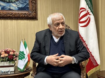 بادامچیان: به دنبال یک رئیس جمهور ویژه هستیم /به لاریجانی احترام می گذاریم /اگر الان بخواهیم حرف بزنیم دعوای سیاسی میشود