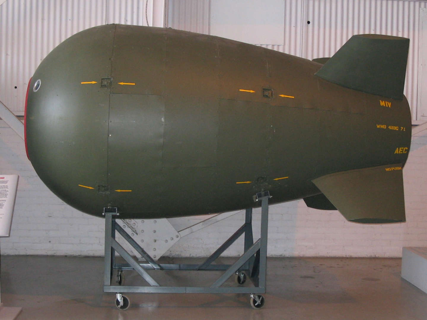 جتی که انفجار هستهای از پا در نیاوردش!/ عکس