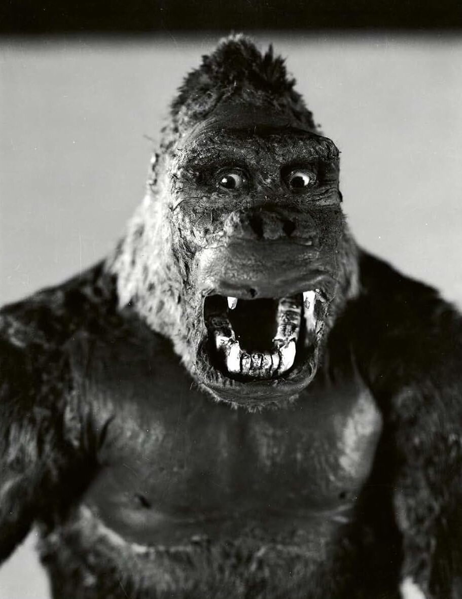 عکسهای شگفتانگیز دیدهنشدهای از بازیگران قدیمی سینمای جهان