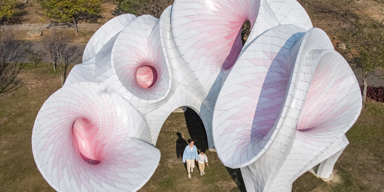 شکوفه گیلاس شکوفه گیلاس