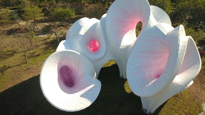 شکوفه گیلاس شکوفه گیلاس