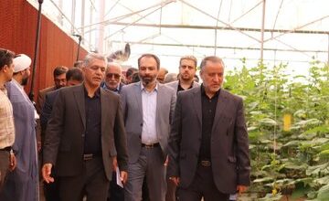 یک مجتمع گلخانه‌ای در سمنان افتتاح شد